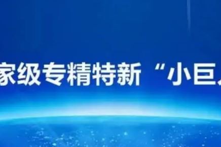 我司榮獲國家級(jí)專精特新“小巨人”企業(yè)榮譽(yù)